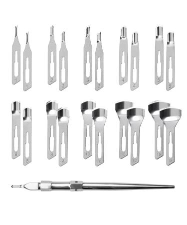 Set 4 20x hollow chisel blades (2x each) 1x holder for foot care 10 sizes Mixset Starterset Mixset with holder