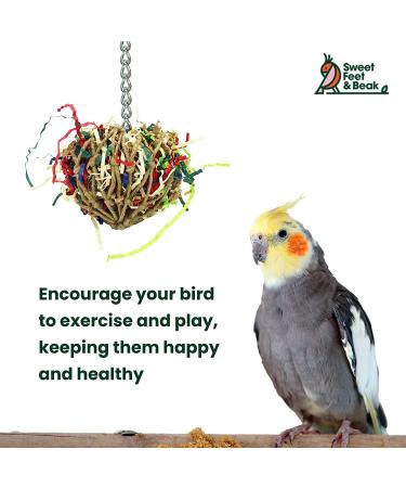 Sweet Feet and Beak Super Shredder Ball - Non-Toxic Bird Foraging Toy (3 inch) - Buy Online on GoSupps.com