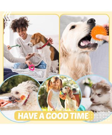 Puppy Toys 21 Pack Small Dog Chew Toys with Rope Toys for Teething Pet Cute Squeak Toy with Treating Ball for Puppy Small Dogs - Buy Online on GoSupps.com