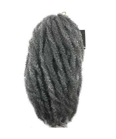 Buy Coolbers 18 Afro Kinky Curly Crochet Braids - Synthetic Marley Bob Hair (6 Packs Gray) for Stunning and Versatile Styles - Buy Online on GoSupps.com