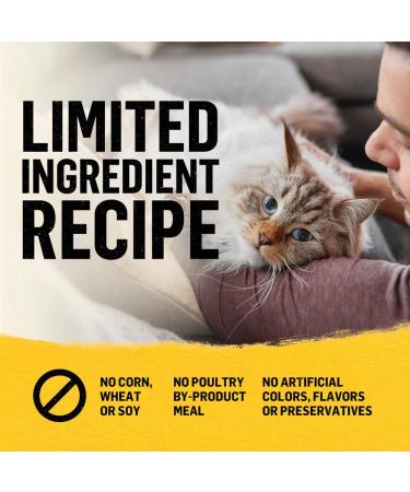 Beyond Grain Free Natural Dry Cat Food Farm-Raised Chicken & Egg - 1.36 kg Bag - Buy Online on GoSupps.com