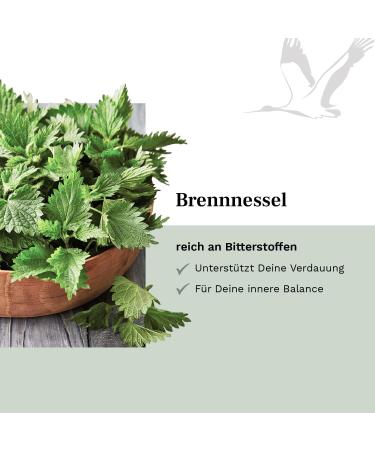 Buy 20:1 Real Nettle Extract Capsules - 900mg High Dose - 180 Vegan Capsules - No Additives - Laboratory Tested - Made in Germany | Balanced Vitality - Buy Online on GoSupps.com