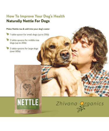 Organic Stinging Nettle Tea - 100 Bags - Joint & Blood Sugar Support, Allergy Relief - Urtica Tea - Buy Online on GoSupps.com