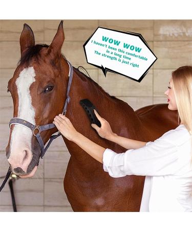 Maonple 6-in-1 Deshedding Brush for Horses - Shedding, Grooming, Massage - Multi-Functional - Black - Buy Online on GoSupps.com