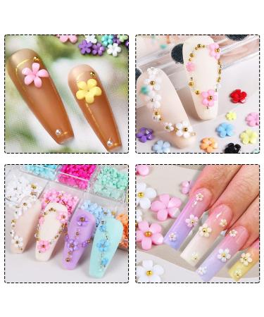 XPEX 12 Grid 3D Flower Nail Charm Set - Acrylic Flower Nail Art Strass 12 Vibrant Colors for DIY Nail Decoration - Buy Online on GoSupps.com