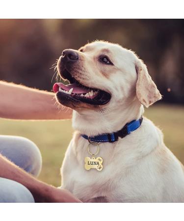 Custom Engraved Stainless Steel Pet ID Tag - Personalized Bone & Paw Shaped Dog Name, Address, and Phone - Gold Small - Buy Online on GoSupps.com