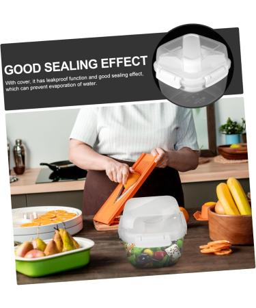 HOLIDYOYO Box Box Lunchbox Bento Container Lunch Boxes Lunch Holder White Compartment Box Pp Double Layer 15.8X15.8X14.3CM 10TUI4923B White 15.8X15.8X14.3CM - Buy Online on GoSupps.com