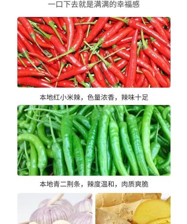 Color Chili Sauce homemade seasoning Hunan hot&spicy green and red chili peppers ickled vegetables Hot pot dipped in sauce pmixed noodle sauce Hunan specialty condiment (Color Chili Sauce 280g 3can) Color Chili Sauce 280g 3can - Buy Online on GoSupps.com