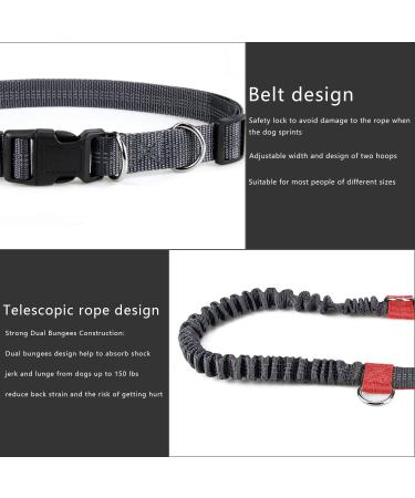 Achort Hands-Free Dog Leash & Waist Belt with Bungee - Reflective Adjustable for Dogs Up to 110 kg - Perfect for Running & Jogging (Red) - Buy Online on GoSupps.com