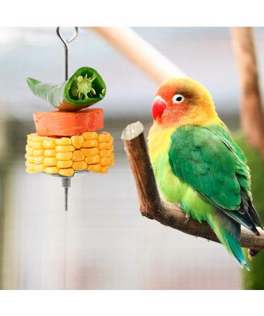 2 Pack Stainless Steel Bird Feeder Cups with Wire Hook - Parrot Feeding Dishes for Finches, Lovebirds - Includes Food Holder and Rattan Ball - Buy Online on GoSupps.com