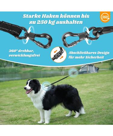 Buy Aystkniet Bungee Dog Drag Line - Shock-Absorbing Leash with Padded Handle & Lockable Hook | 3m 5m 10m 15m 20m 30m | Ideal for Medium & Large Dogs | Reflective Threads | International Shipping - Buy Online on GoSupps.com