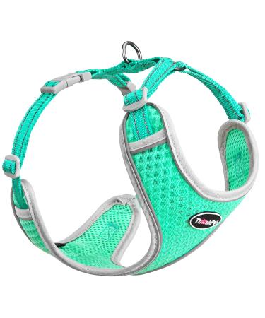 Thinkpet no-pull dog harness leash set breathable chest harness for small medium large dogs adjustable soft running harness safe control padded reflective safety harness (1 Pack) green