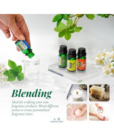 100% Pure Essential Oils for Diffusers Home Care Car Hair & Massage Candle Making Scents Fragrance Aromatherapy Humidifiers Gifts -(10ml/(0.33 oz) Coriander) Coriander 0.33 Fl Oz (Pack of 1) - Buy Online on GoSupps.com