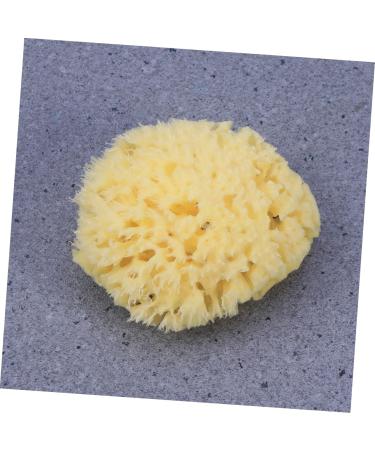 Beatifufu Shower Sponge Bath Sponge Seaweed Sponge Honeycomb Algae Sponge - Buy Online on GoSupps.com