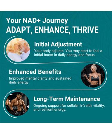 Svovita NAD Supplement 500mg Liposomal NAD+ Supplement with Trans-Resveratrol for Women & Men Vegan Non-GMO 60 Capsules - Buy Online on GoSupps.com