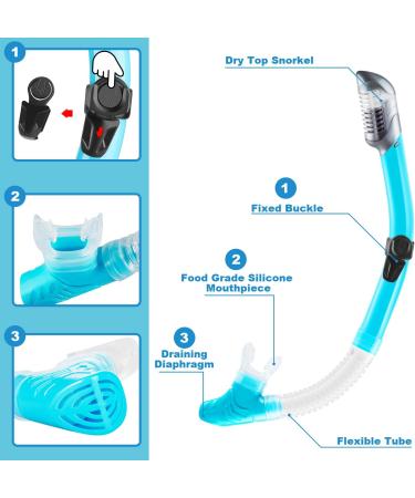 ZEEPORTE Adult Snorkeling Gear Set - Panoramic View Diving Mask, Trek Fin, Dry Top Snorkel - Blue SM - Buy Online on GoSupps.com