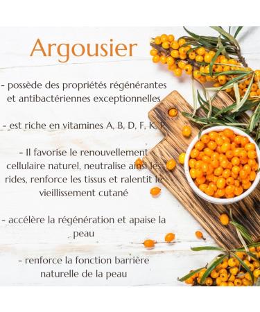 GREEN IDEA Sea Buckthorn Balm Hand Cream Natural Cosmetics Moisturizing Cream Intensive Protection of Skin and Nail Bed Regenerating and Soothing Effect 100ml - Buy Online on GoSupps.com