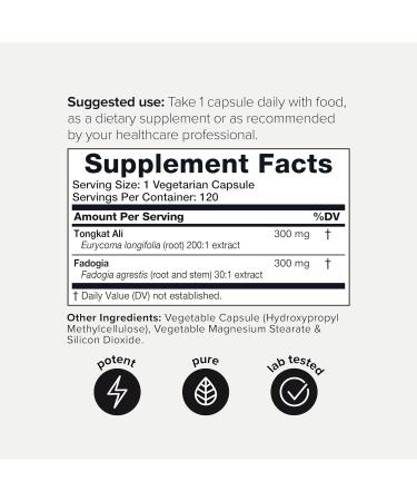 Tongkat Ali Fadogia Agrestis - Ultra High Potency 200:1 Tongkat Ali & 30:1 Fadogia Agrestis - 2% Eurycomanone -Third-Party Lab Tested - 120 Capsules - Buy Online on GoSupps.com