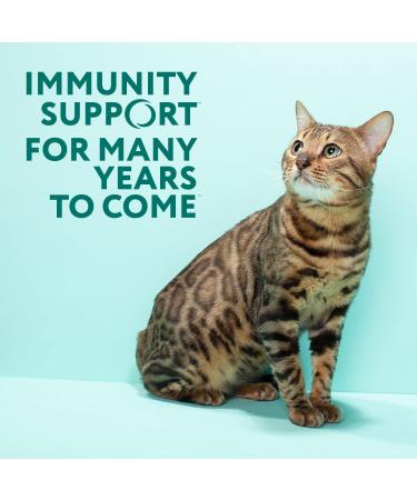 Optimeal Indoor Cat Chicken & Brown Rice Adult Cat Food 8.8 lbs - High-Quality Ukrainian Ingredients - Buy Online on GoSupps.com