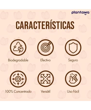 PLANTAWA Epsom Salts Pack 1kg + Sweet Almond Oil 500ml | Sleep Improvement & Muscle Relaxation Deep Hydration Skin & Hair Nutrition 100% Natural - Buy Online on GoSupps.com