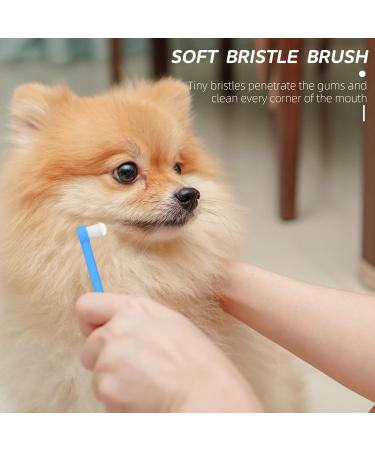 Ultra-Frame Nano Bristle Dog Toothbrushes - 3 Pack for Cats & Dogs | Gentle Dental Care for Sensitive Gums | Sky Blue - Buy Online on GoSupps.com