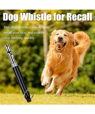 Professional Dog Whistle and Dog Clicker Set Supersonic Dog Training Whistle for Recall with Black Lanyard Adjustable Frequency Puppy Clickers for Training Stop Barking Pet Obedience(2 Pieces) - Buy Online on GoSupps.com