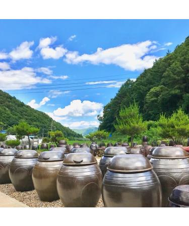 Traditional Gochujang (Chili paste) from South Korea - 100% local Korean ingredients. Slow fermentation Aged in clay pots. 200 gram - Buy Online on GoSupps.com
