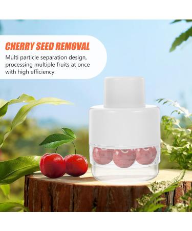 Zerodeko Fruit Corer Reusable Cherry Pitter Household Red Date Corer Fruit Pill Organizer Plastic Cherry Pitter Kitchen Olive Pitter Daily Use Red Date Corer Strawberry Core Remover - Buy Online on GoSupps.com