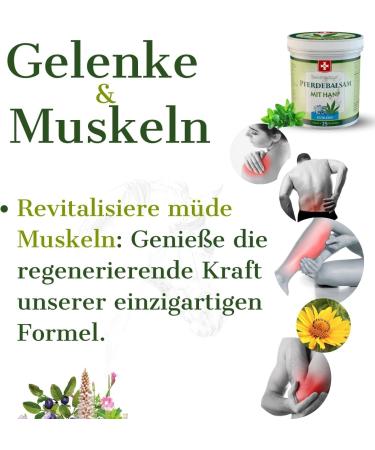 Swissmedicus Horse Light Gel - 250ml Cooling Muscle & Joint Relief with Hemp & 25 Natural Extracts - Ideal for Athletes & Everyday Use - International Shipping Available - Buy Online on GoSupps.com