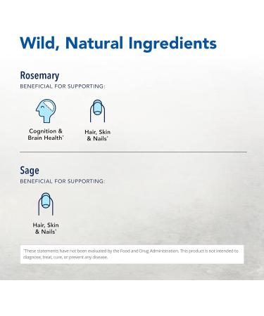 NORTH AMERICAN HERB & SPICE Neuroloft - 12 fl. oz. - Daily Tonic - Antioxidant Support Supports Healthy Neurological Function - Non-GMO - 12 Servings - Buy Online on GoSupps.com