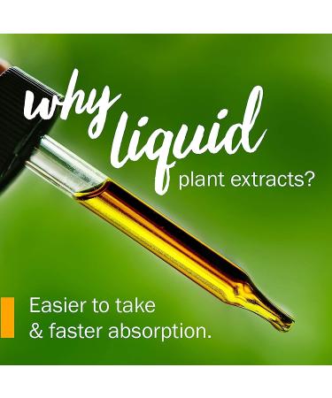 Herb Pharm Certified Organic Lemon Balm Liquid Extract for Calming Nervous System Support Organic Cane Alcohol 1 Ounce (Pack of 5) 1 Fl Oz (Pack of 5) - Buy Online on GoSupps.com