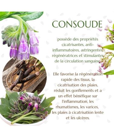 Green idea Gel de Massage au Consoude 500 ml | Gel Naturel pour Soin de la Peau Muscles et Articulations | Avec Extrait de Symphytum Officinale et Alanto ne | Cosm tique Naturelle - Buy Online on GoSupps.com