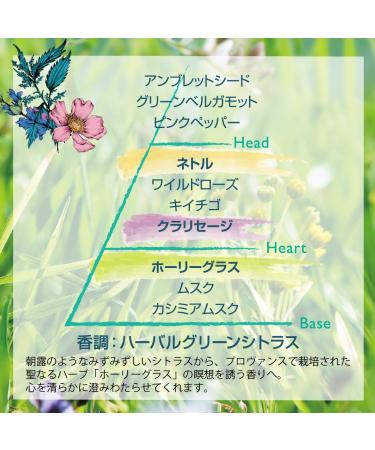 L'Occitane Herbae Gentle Shower Gel 8.4 Fl Oz - Refreshing Botanical Formula - Buy Online on GoSupps.com