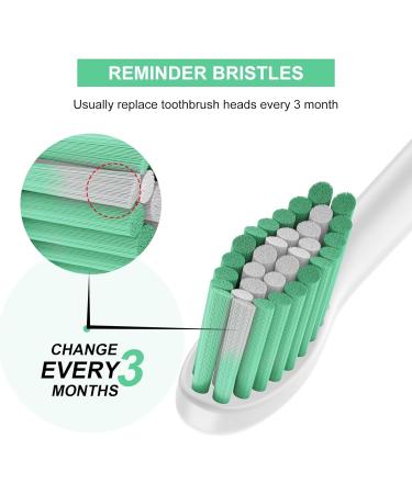 6 Pack Philips Sonicare Replacement Brush Heads - Medium Soft Dupont Bristles - Compatible with E-Series Essence Xtreme Elite - Electric Toothbrush Heads - Buy Online on GoSupps.com