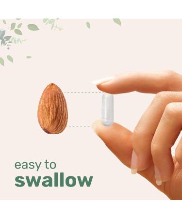 Lithium Orotate 5mg 240 Vegetarian Capsules | 5mg Per Serving | Elemental Lithium Mineral Salt | Stable Low-Dose Orotate Form | 120 Servings | Non-GMO Filler Free - Buy Online on GoSupps.com