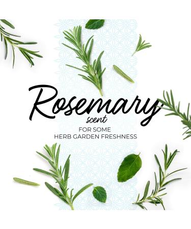 Home Made Simple Natural Dish Soap - Plant-Based Rosemary Scent 48 Fl Oz | Eco-Friendly Dishwashing Liquid Ships Internationally - Buy Online on GoSupps.com