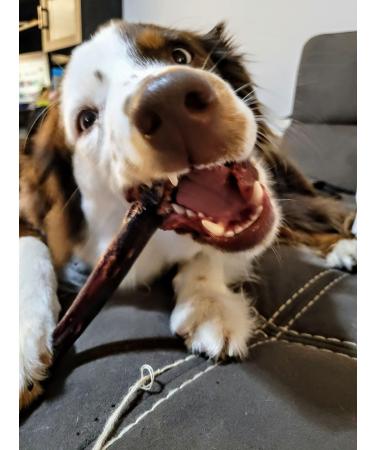 Bully Bunches Collagen Wrapped in Beef Bully Stick | All-Natural Long Lasting Dog Chew | Dental Stick for Avid Chewers (6 Inch 10 Pack) - Buy Online on GoSupps.com