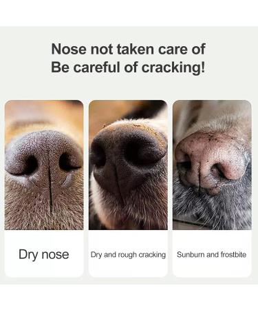 Moisturizer for Dogs Nose | Avocado Nose Cream for Dogs | 20g Natural Nose Moisturizer Lick-Safe Dog Nose Balm Moisturizes & Soothes Dry Cracked Noses Gonipol - Buy Online on GoSupps.com