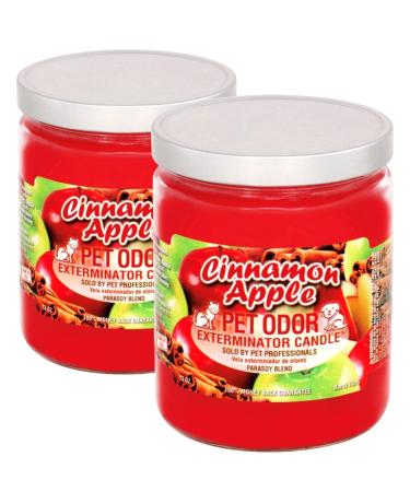 Pet Odor Exterminator Cinnamon Apple Candle - 13 oz, Pack of 2