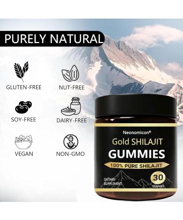 Neonomicon Primal Compound Shilajit Gummies for Men Pure Himalayan Shilajit 85+ Trace Minerals & Fulvic Acid No Added Sugar Non-GMO Energy Boost & Immune Support 30 Gummies - Buy Online on GoSupps.com