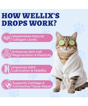 4oz Large Premium Liquid Collagen for Dogs&Cats - Skin&Coat Coat Defense Itch Relief Hip&Joint Supplement - Grass Fed Dog Collagen Drops with Biotin MSM Vitamin C&E Collagen Supplement - Buy Online on GoSupps.com