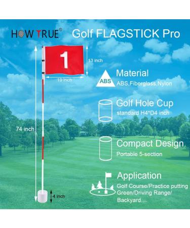 TRUE Golf Flagsticks Flags Hole Pole Cup Set - Portable 5 Section Practice Golf Pin Pole Flags - Buy Online on GoSupps.com