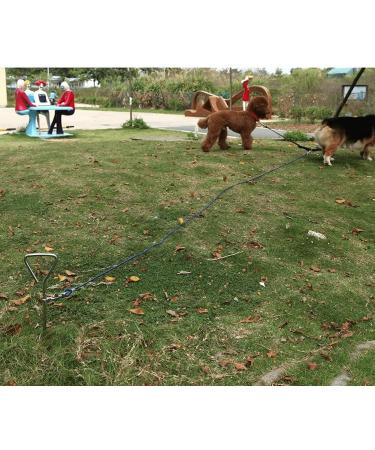 Dog Stake Metal Pet Stake Spiral Tie-Out Pet Supply Tether Dog Leash Anchor Stakes with Spiral Shape Suitable for Outdoor Yard and Camping Small Medium and Large Pets Stake-Out Spike Dog tie out - Buy Online on GoSupps.com