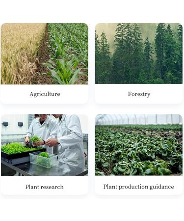 NVIVN Chlorophyll Meter Machine Portable Chlorophyll Content Meter 0.8s Fast Measurement 0.0-99.9 SPAD High Precision for Plant Researcher School Lab Research Center(16GB Big Storage Capacity) - Buy Online on GoSupps.com