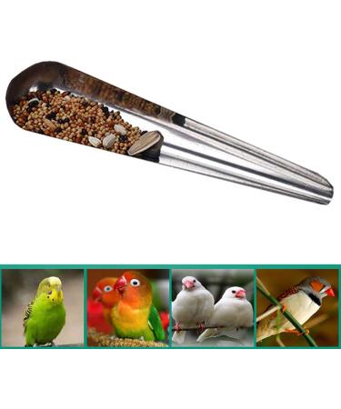 S-TROUBLE Bird Pointed Seed Dispenser | Stainless Steel Parrot Feeder for Easy Feeding | International Shipping Available - Buy Online on GoSupps.com