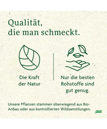  SALUS Pharma GmbH Lemon Balm Teapot - Pack of 15 - Buy Online on GoSupps.com