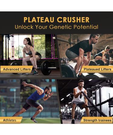 Micronized Creatine Monohydrate for Women and Men Creatine Powder for Men-Women for Improve Performance and Strength Support Muscle Growth and Workout Recovery 6.5g per Servings 75 Servings 1.1 Pound (Pack of 1) - Buy Online on GoSupps.com