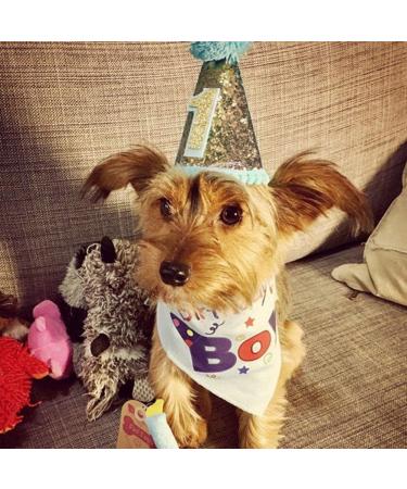 Party Hat Dog Puppy Party Cat Costume Sequins Hat Headwear Accessory Birthday Party Pet Supplies (Blue 2years) - Buy Online on GoSupps.com