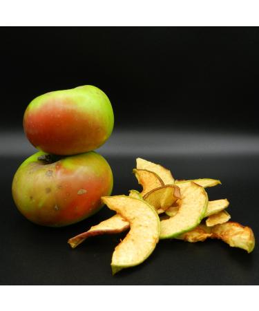 Malbosca Organic dehydrated apple snack 20g sugar-free 100% Italian cold-dried apples no added preservatives no additives only fresh dehydrated fruit suitable as a raw food 100% plant-based