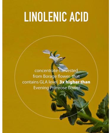 Gamma Linolenic Acid 300mg - Borage Oil & Vitamin E for Women's Health (60 Capsules) | FromBIO - Buy Online on GoSupps.com